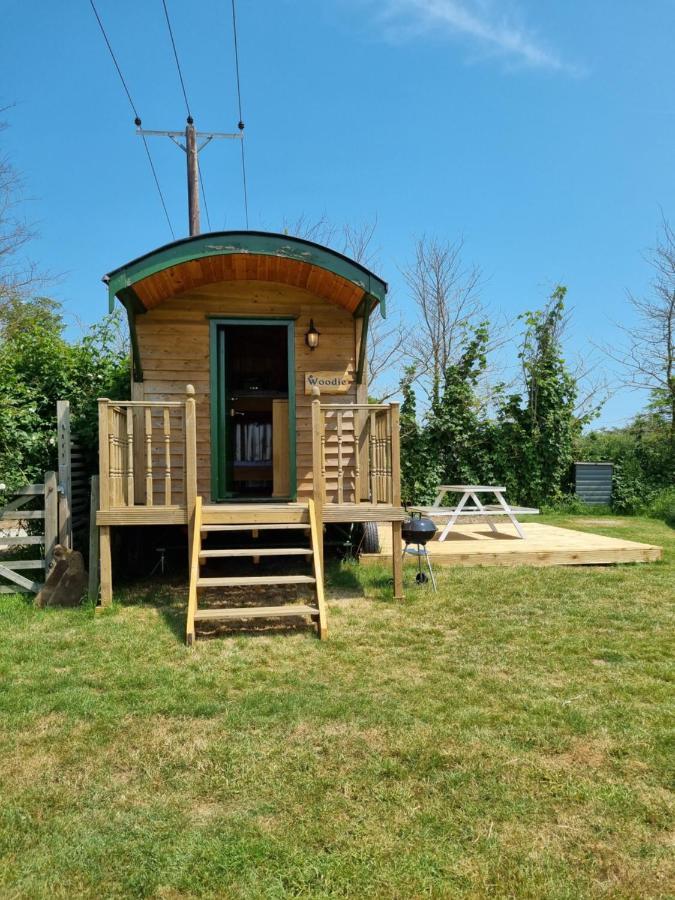 Woodie The Shepherds Hut - Sleeps 4 ชิชิสเตอร์ ภายนอก รูปภาพ
